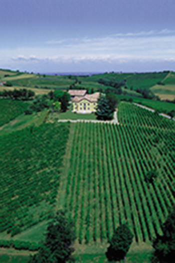 Tenuta la Torretta 2 Tenuta la Torretta 2